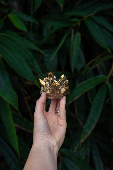 Golden Aura Cluster
